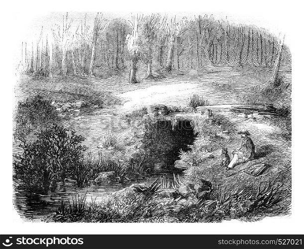 Fontaine de Barenton, in the forest of Paimpont, departments of Ille et Vilaine and Morbihan, vintage engraved illustration. Magasin Pittoresque 1846.