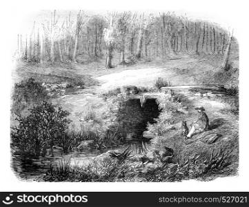 Fontaine de Barenton, in the forest of Paimpont, departments of Ille et Vilaine and Morbihan, vintage engraved illustration. Magasin Pittoresque 1846.