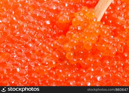 food background - little wooden spoon in salted russian red caviar of pink salmon fish close-up