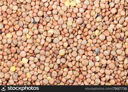 food background - many raw brown lentil seeds