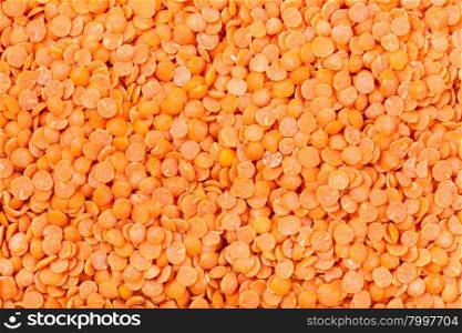 food background - many raw Red Split Lentil seeds