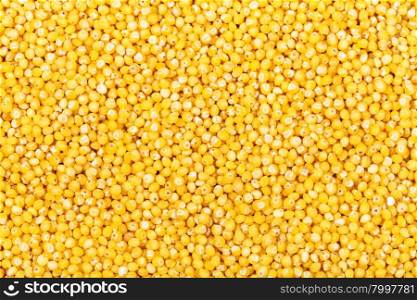food background - many raw yellow millet groats