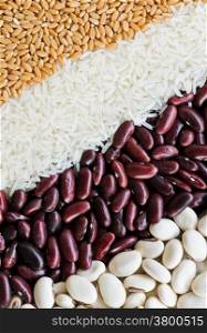 Food background. Mixed grains of wheat grain, white jasmin rice, red kidney bean and white kidney bean
