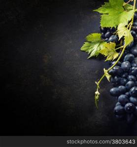 Food background with Fresh Grapes. Lots of copy space.