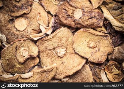 Food. Closeup dry mushrooms boletus as background texture