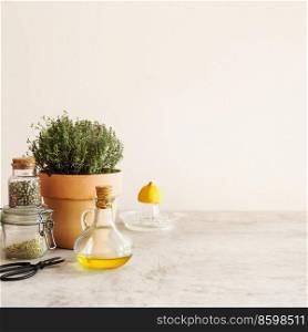 Food flavoring setting with olive oil, fresh potted herbs, lemon and spices on grey concrete kitchen table at wall background. Front view. Copy space