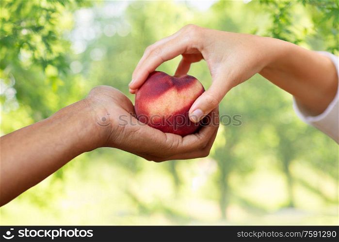 food, fruit and healthy eating concept - multiracial couple hands with peach over green natural background. multiracial couple hands with peach over green