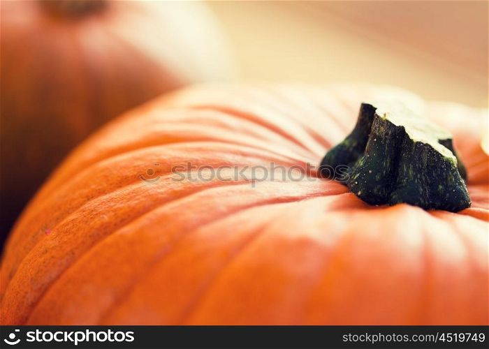 food, harvest, season and autumn concept - close up of pumpkins
