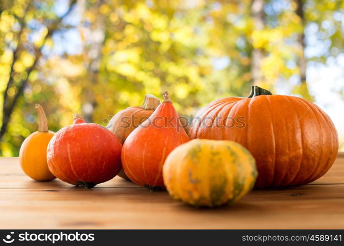 food, harvest, season and autumn concept - close up of pumpkins on wooden table over natural background