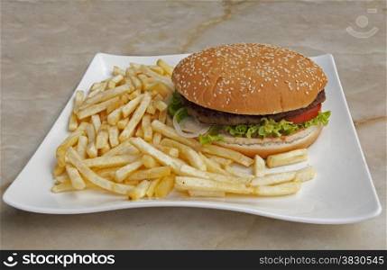food plate with fries and hamburger