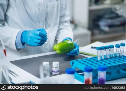 Food quality control. Biologist examining presence of pesticides in green bell pepper vegetable in laboratory. Food Quality Control. Biologist Examining Presence of Pesticides in Green Bell Pepper Vegetable