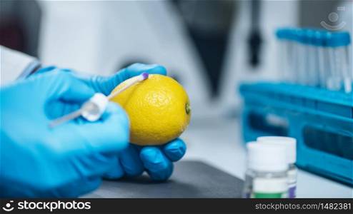Food quality control expert examining lemon citrus fruit in laboratory, testing for presence of Tiabendazole. Food Quality Control Expert Examining Lemon Fruit in Laboratory