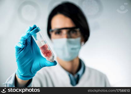 Food Quality Control of Red Meat. Sensory Evaluation of Beef Sample in a Test Tube