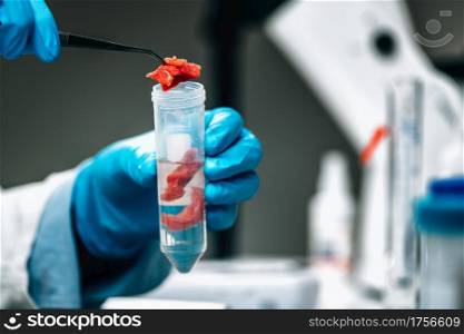 Food safety and quality control testing of red meat. Laboratory technician separating beef samples into test tubes. . Food Safety and Quality Control - Testing Red Meat