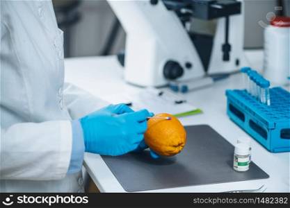 Food Safety Laboratory Technician Examining Orange Citrus Fruit for Presence of Pesticides