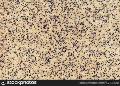 food, spices, seasoning, vegetarian and agriculture concept - sesame seeds texture