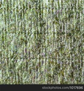 food square background - textured roasted sheet Nori of seaweed used in Japanese cuisine for sushi