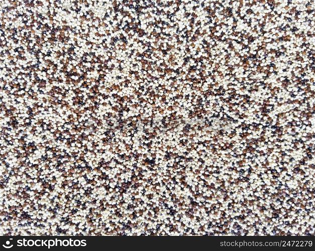 Food texture background from quinoa mix seeds. Stock photography.. Food texture background from quinoa mix seeds. Stock photo.