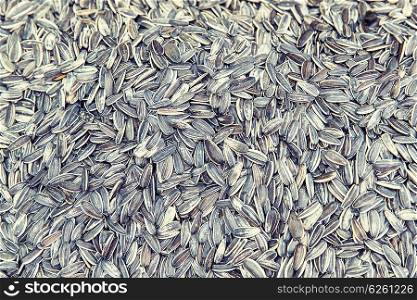 food, vegetarian and agriculture concept - sunflower seeds texture