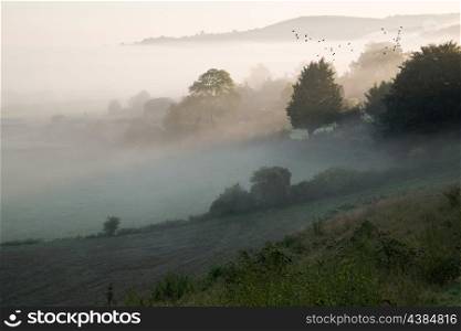 Foogy Autumn landscape over agricultural fields with layers of fog