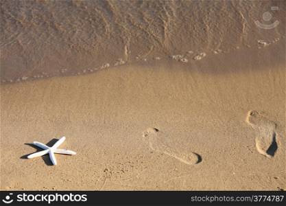 Foot and starfish prints on a sandy beach