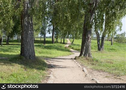 Foot path between birches in the park. Ples, Russia