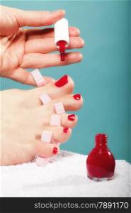 foot pedicure applying woman&#39;s feet with red toenails in pink toe separators blue background
