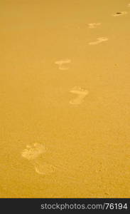 foot print on the beach