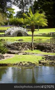 Footbridge across a river, Liliuokalani Park and Gardens, Hilo, Big Island, Hawaii Islands, USA