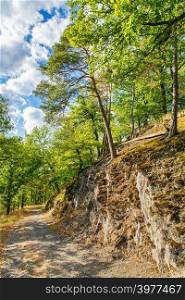footpath along rock with trees in Sauerland forest in germany
