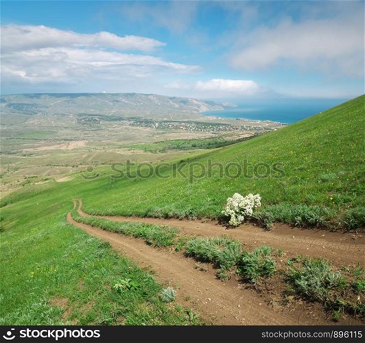 Footpath and green hill of seaside. Nature composition.
