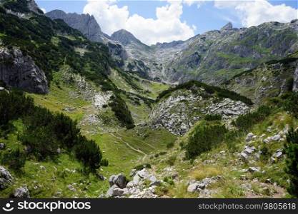 Footpath and mountain in Durmitor national park, Montenegro