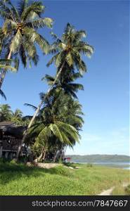 Footpath and palm trees on the Pantai Sorak beach in Nias, Indonesia