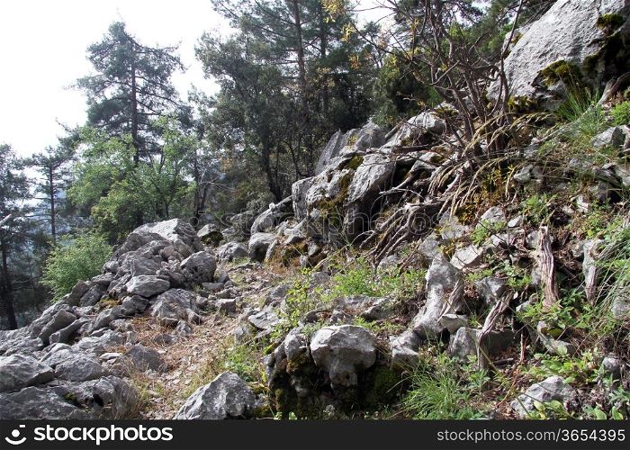 Footpath and rocks in Goynuk canyon, Turkey
