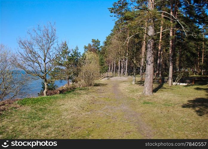 Footpath at the swedish island Oland along the coast af Baltic Sea