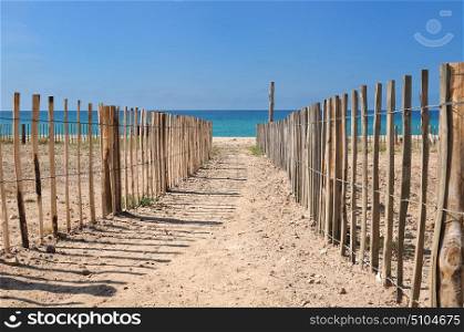 footpath beetween wooden fence leading on a beach