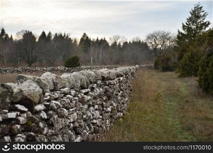 Footpath by an old dry stonewall at the island Oland in Sweden