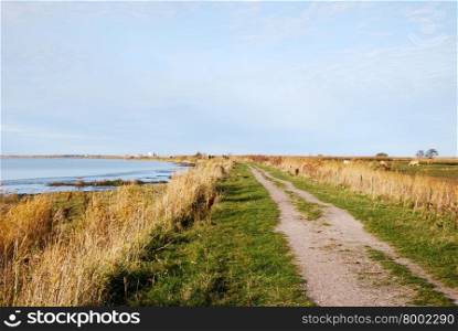 Footpath by the coast at the swedish island Oland in the Baltic Sea