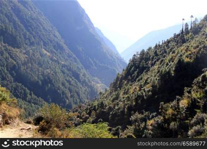 Footpath, forest and mountain in Nepal