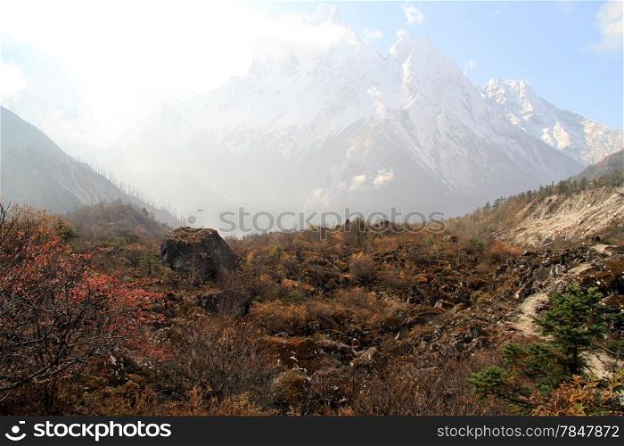 Footpath, forest and snow on mount in Nepal