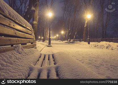 Footpath in a fabulous winter city park