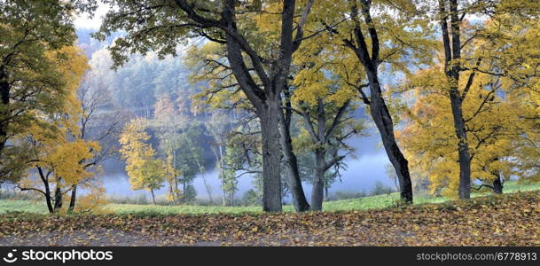 Footpath in beautiful autumn park and Asveja lake. &rsquo;Asveja Regional Park&rsquo; in the Lithuania