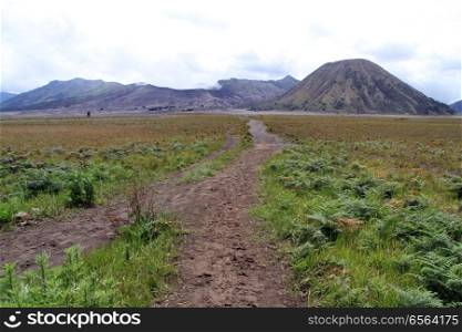 Footpath in caldera to the volcano Bromo, Indonesia
