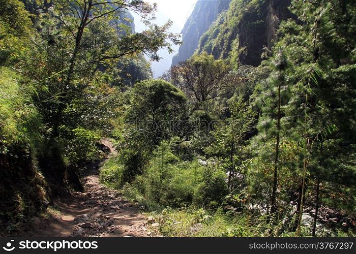 Footpath in the forest near river in Nepal