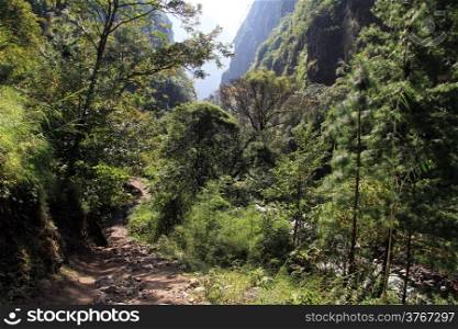 Footpath in the forest near river in Nepal