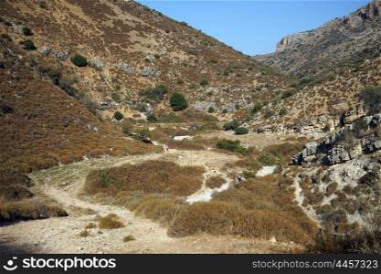 Footpath in the ravine, Israel