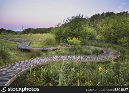 Footpath leading through wild meadow sunrise landscape