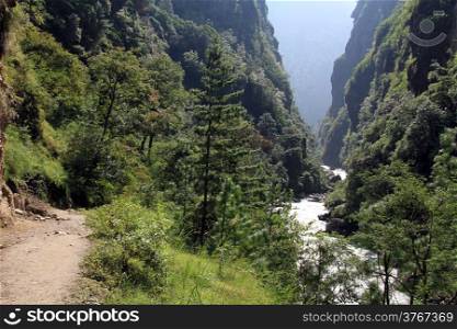 Footpath near forest and river in mountain Nepal