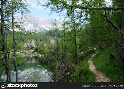 Footpath near lake in Triglav national park in Slovenia