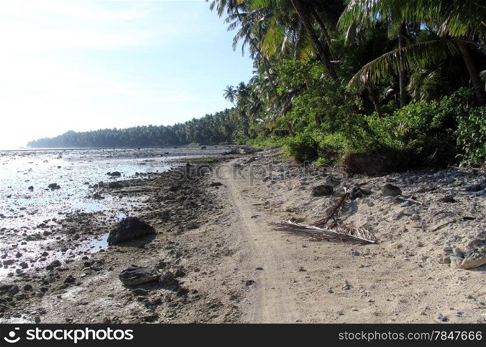Footpath near palm tree plantation on Pantai Sorak beach in Nias, Indonesia